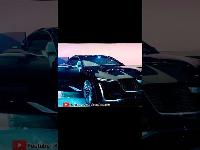  Inside The Billionaire Lifestyle Of Qatar 